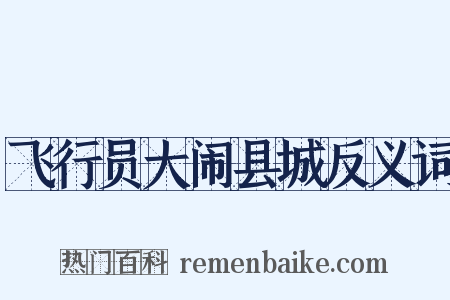 飞行员大闹县城反义词是什么意思的图片